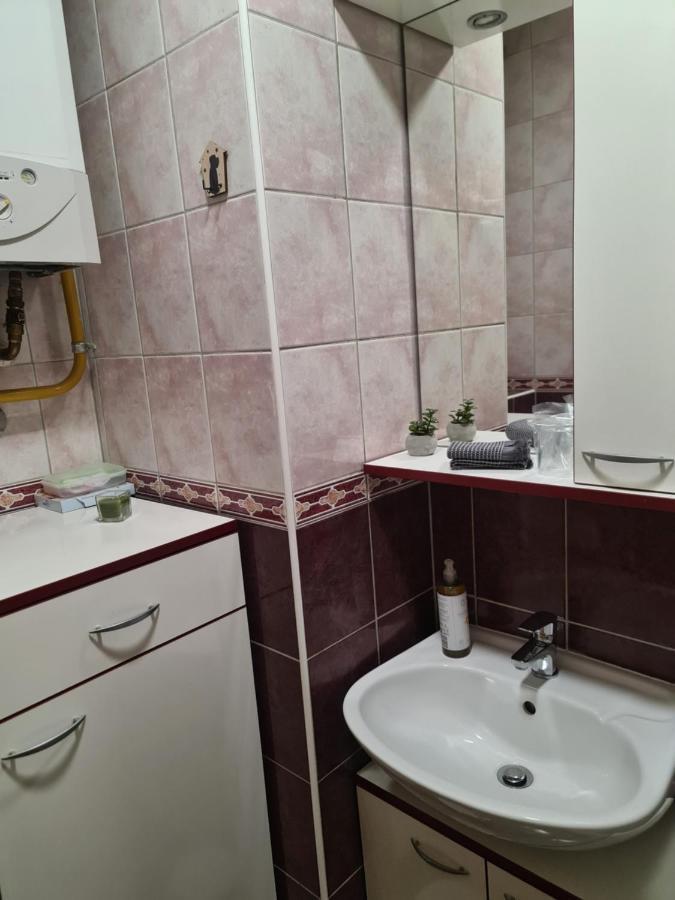 Apartman *Joy* 오시예크 외부 사진