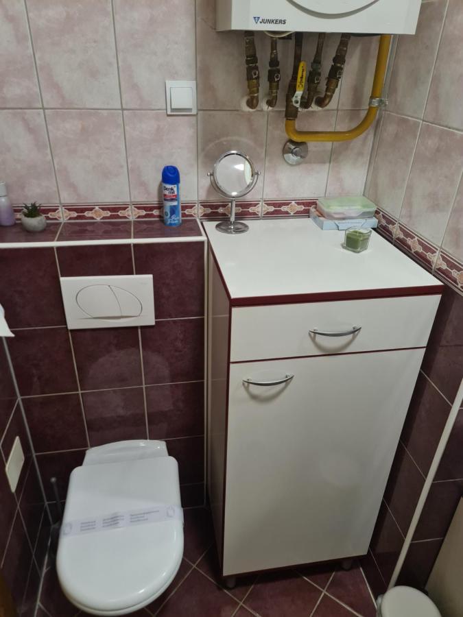 Apartman *Joy* 오시예크 외부 사진