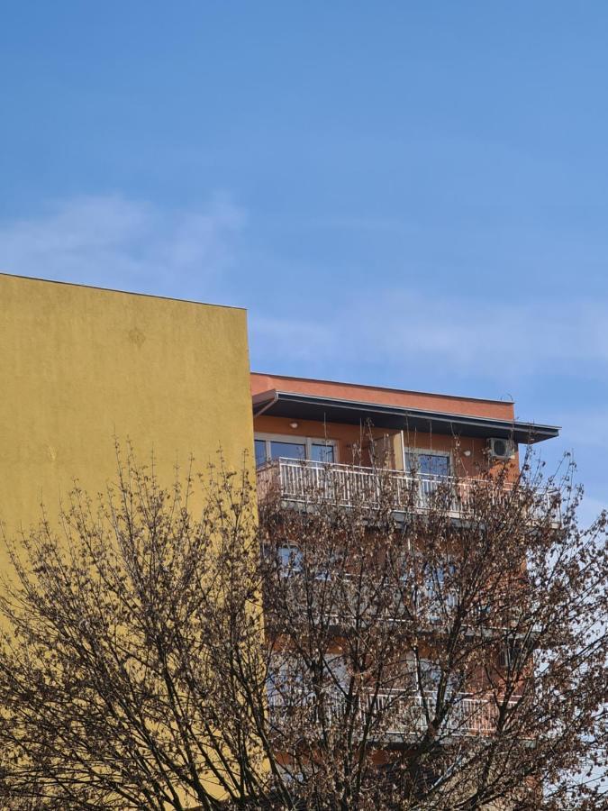 Apartman *Joy* 오시예크 외부 사진